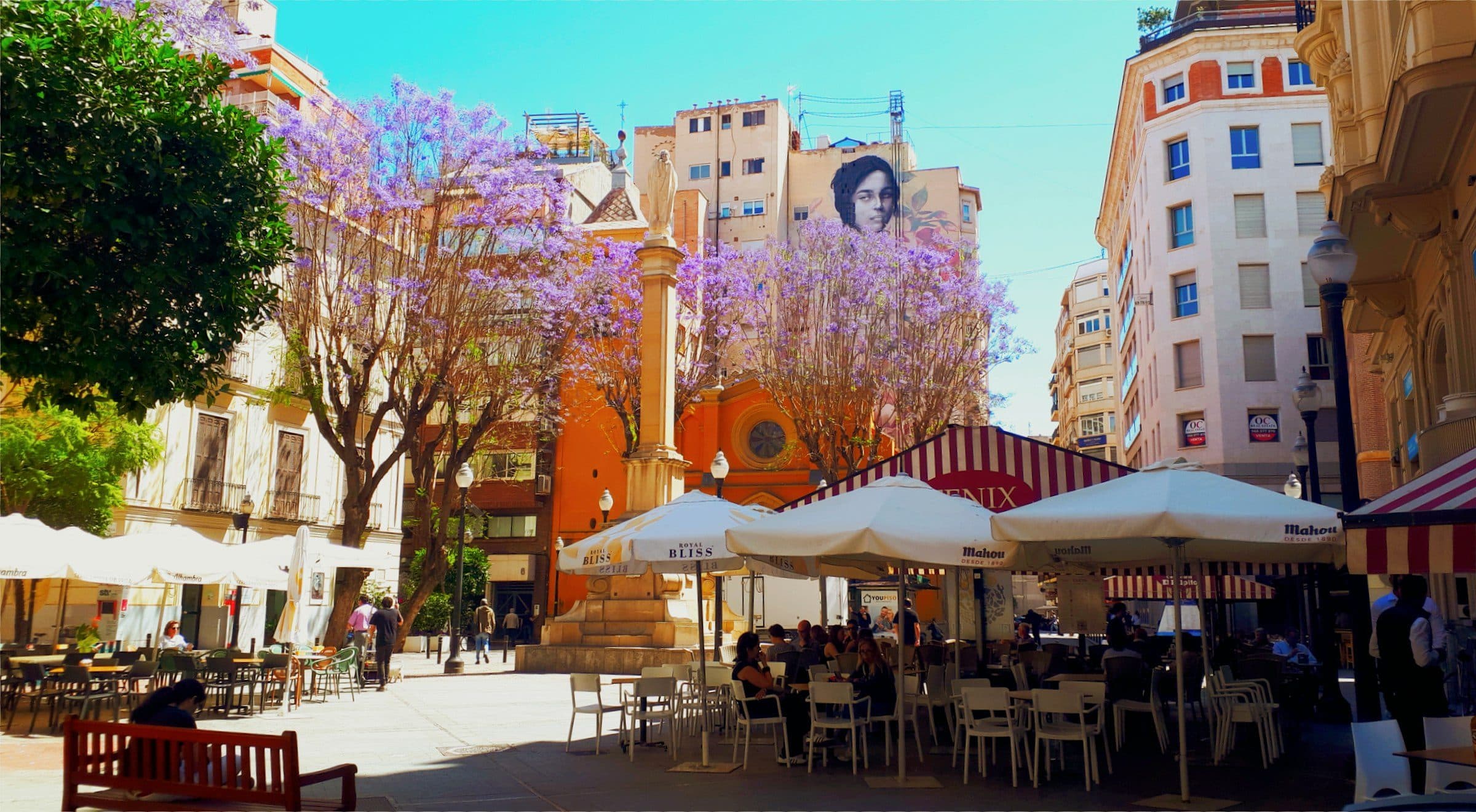 Una plaza del centro de Murcia con terrazas y jacarandas